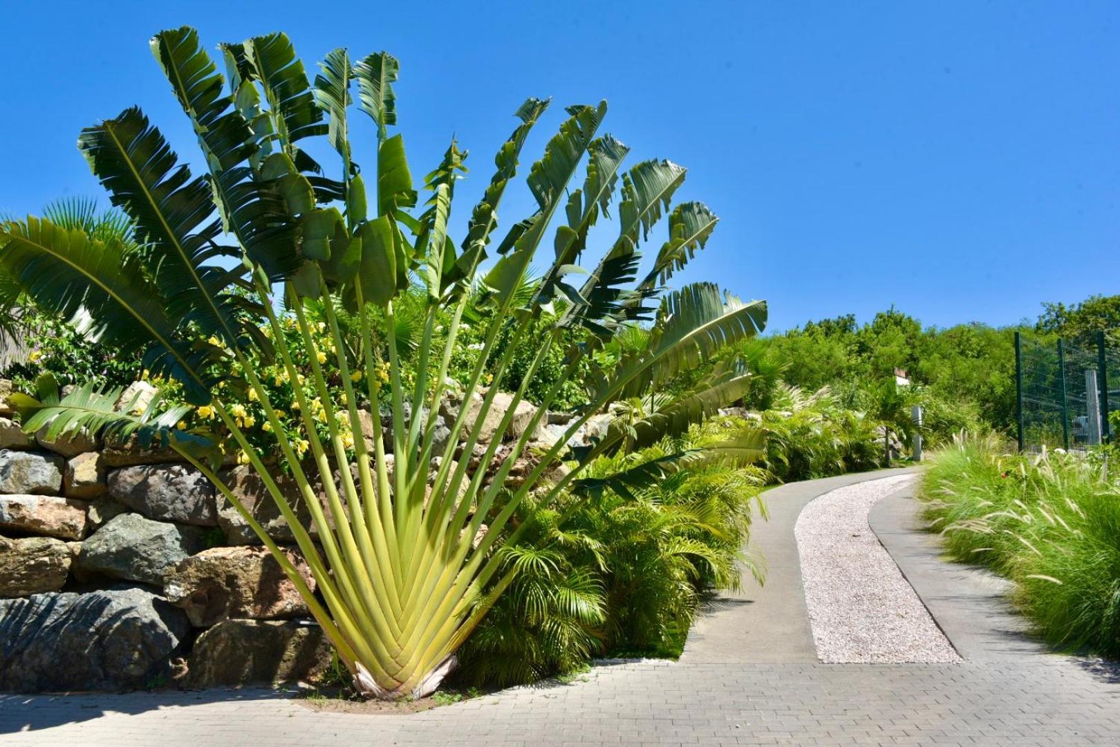 Orient Bay - Amazing Sea View - House 3Bd And 4Bd - Apartment 1 Bd Sea View - 1 Studio View Mountain Quarter of Orleans Extérieur photo